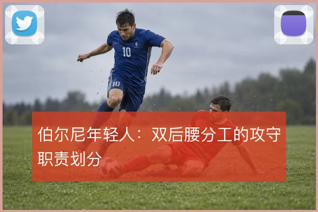 伯尔尼年轻人：双后腰分工的攻守职责划分